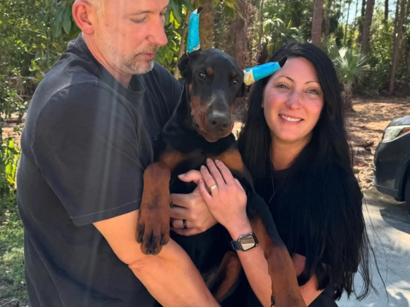 european.dobermann_us-20250627-0005
