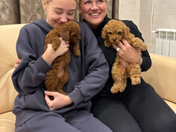 toy_poodle__lovers-20250627-0089